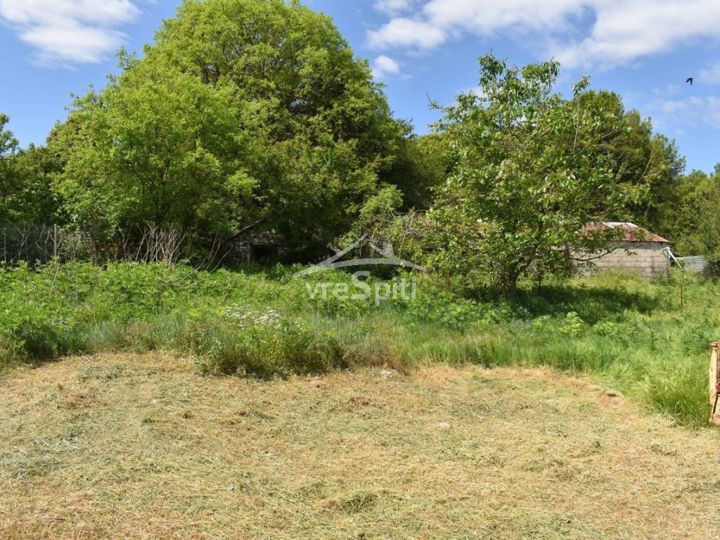 ΑΠΟΨΗ ΟΙΚΟΠΕΔΟΥ