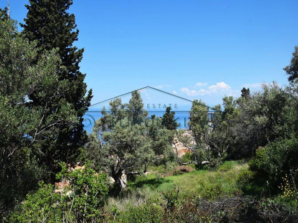 Η όμορφη θέα από το αγροτεμάχιο