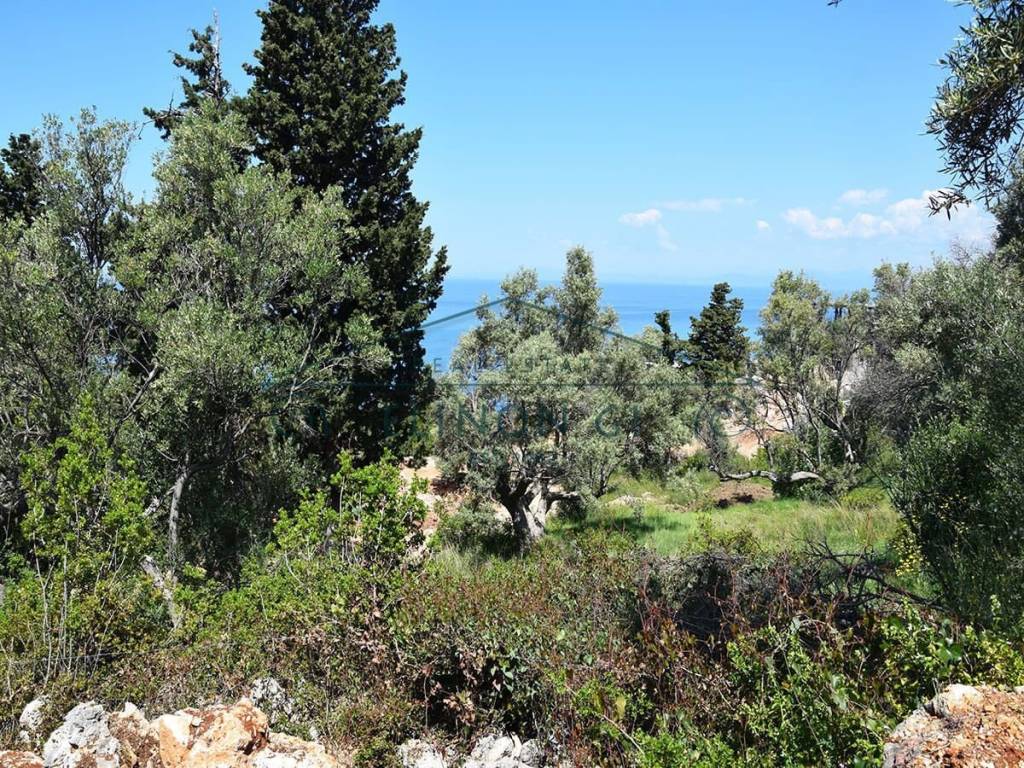 Η όμορφη θέα από το αγροτεμάχιο