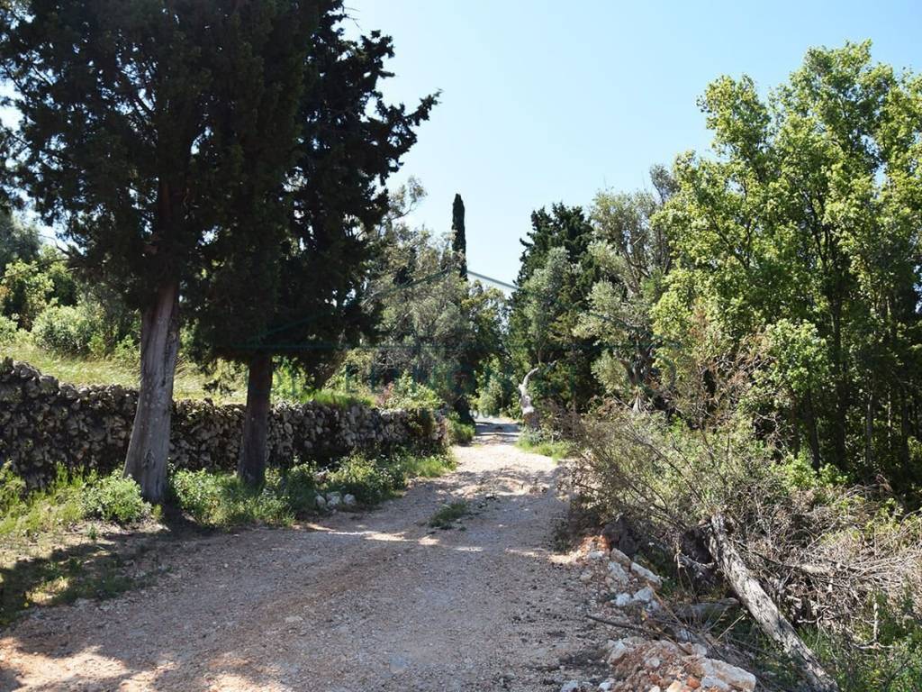 Η πρόσβαση στο αγροτεμάχιο