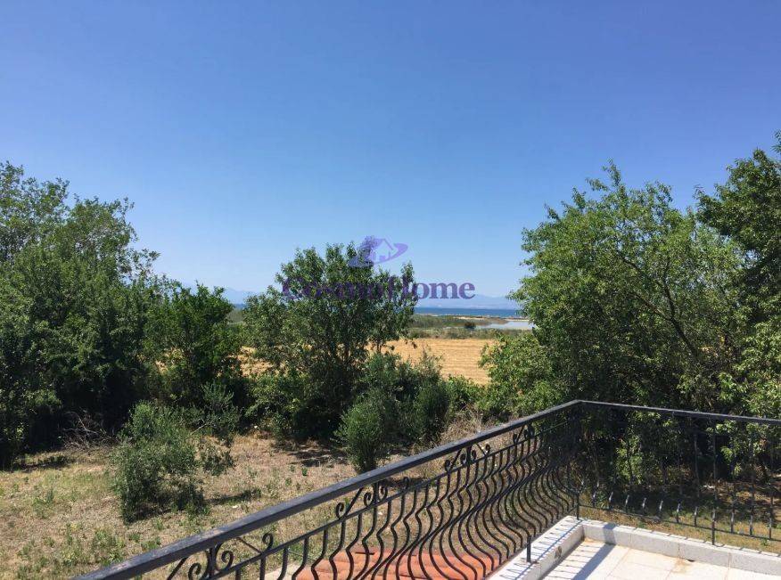 ΘΕΑ ΑΚΙΝΗΤΟΥ