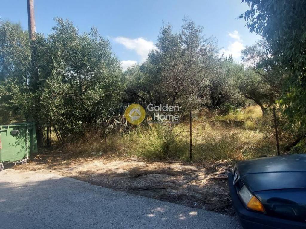 Εξωτερικός Χώρος