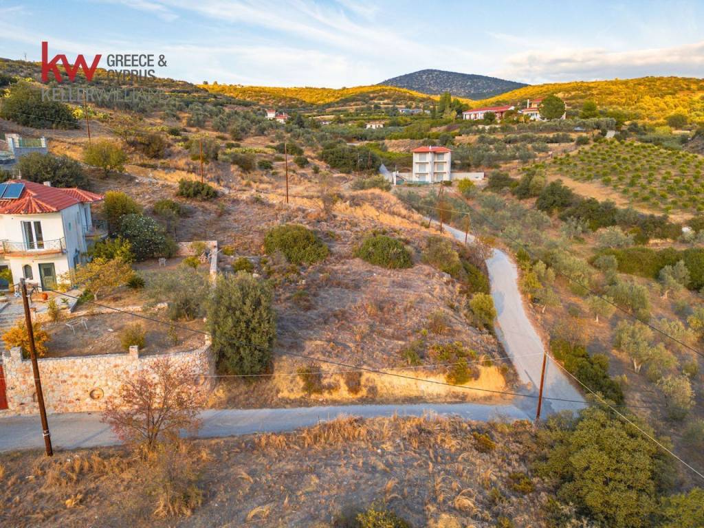 Εξωτερικοι χώροι