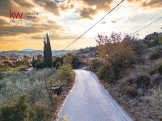 Εξωτερικοι χώροι