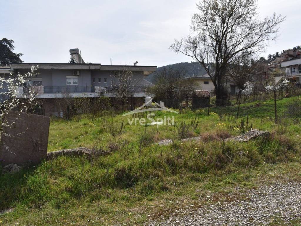 ΑΠΟΨΗ ΟΙΚΟΠΕΔΟΥ