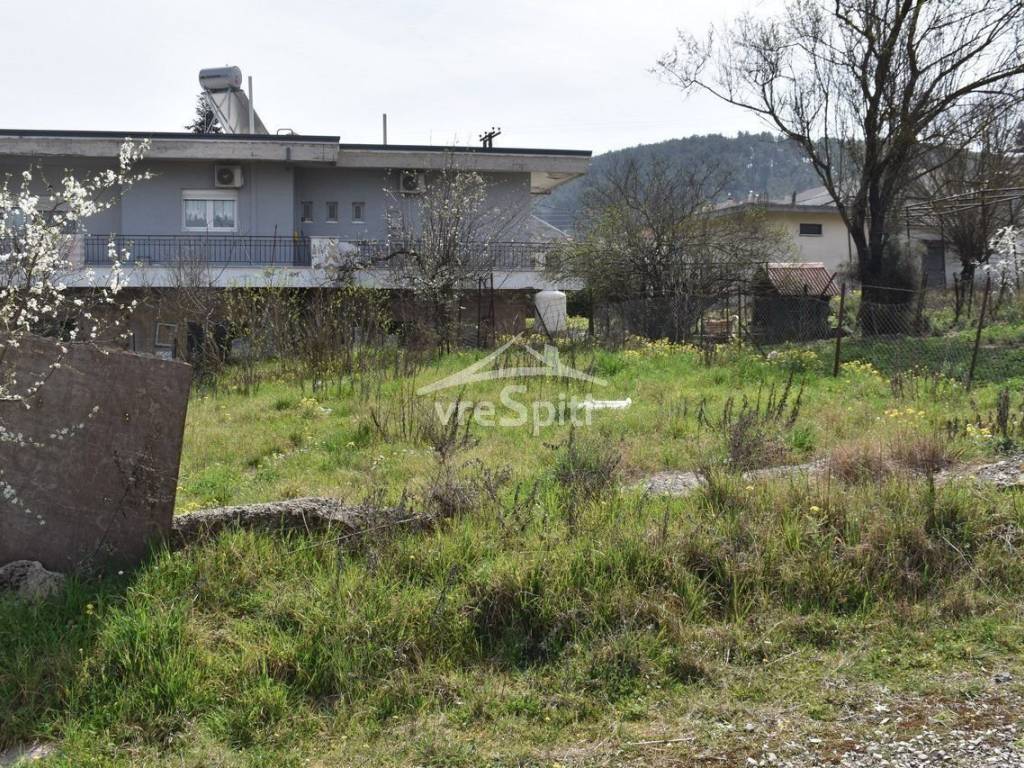 ΑΠΟΨΗ ΟΙΚΟΠΕΔΟΥ