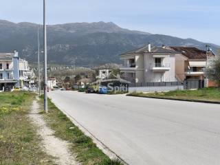 ΑΠΟΨΗ ΟΙΚΟΠΕΔΟΥ