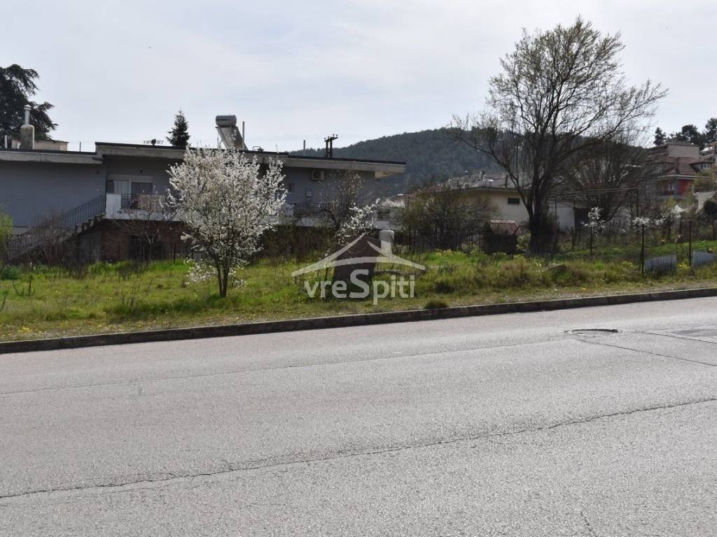 ΑΠΟΨΗ ΟΙΚΟΠΕΔΟΥ