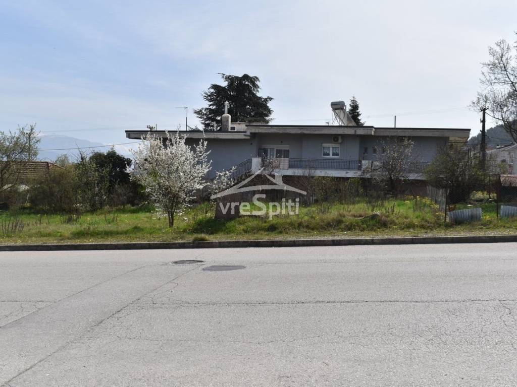 ΑΠΟΨΗ ΟΙΚΟΠΕΔΟΥ