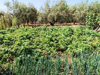 Ο περιβάλων χώρος