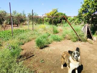 Ο περιβάλων χώρος