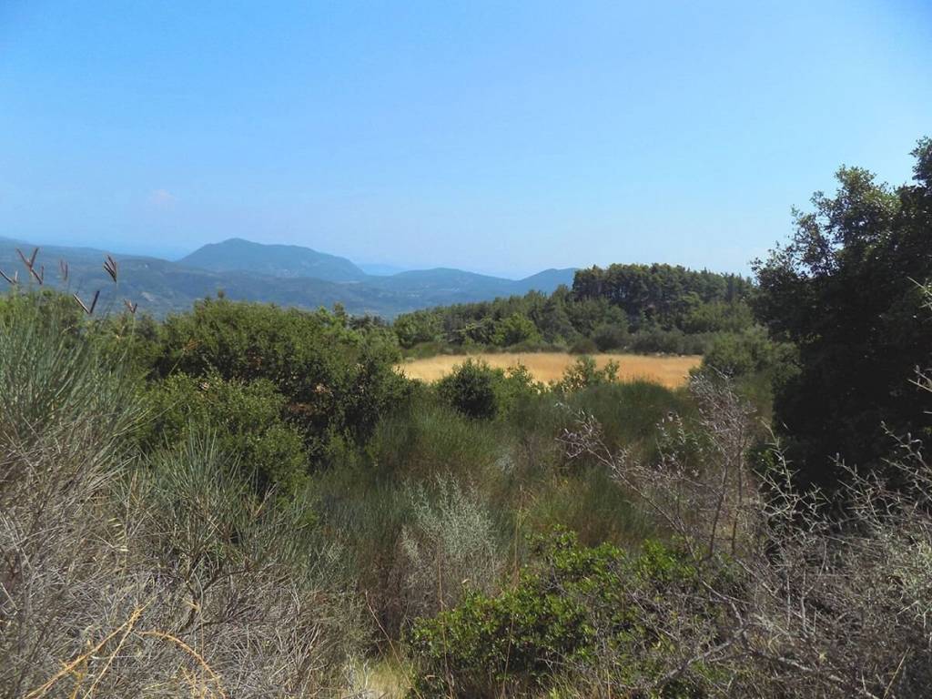 Το επίπεδο αγροτεμάχιο