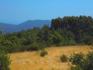 Το επίπεδο αγροτεμάχιο