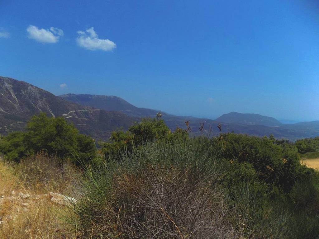 Το επίπεδο αγροτεμάχιο