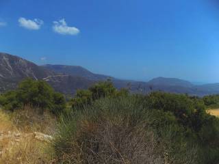 Το επίπεδο αγροτεμάχιο