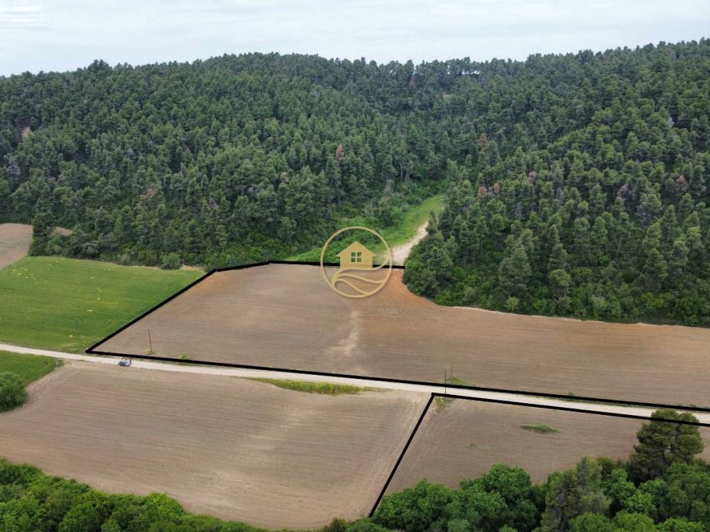 αεροφωτογραφία αγροτεμαχίων