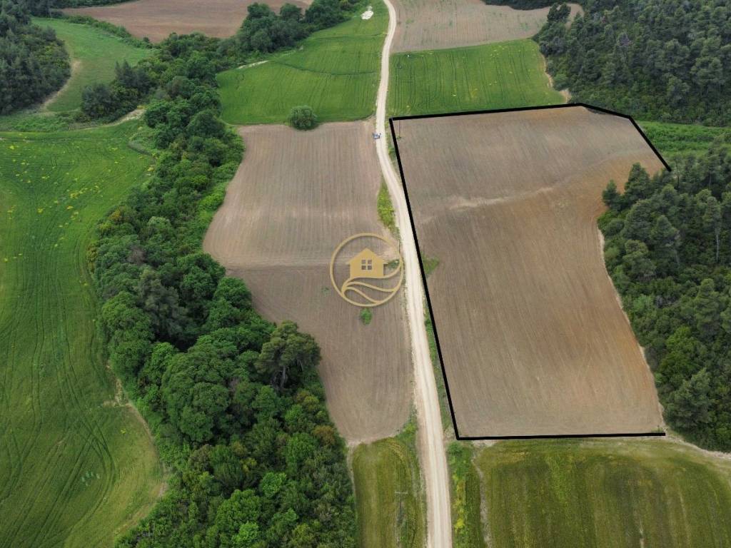 αεροφωτογραφία αγροτεμαχίων