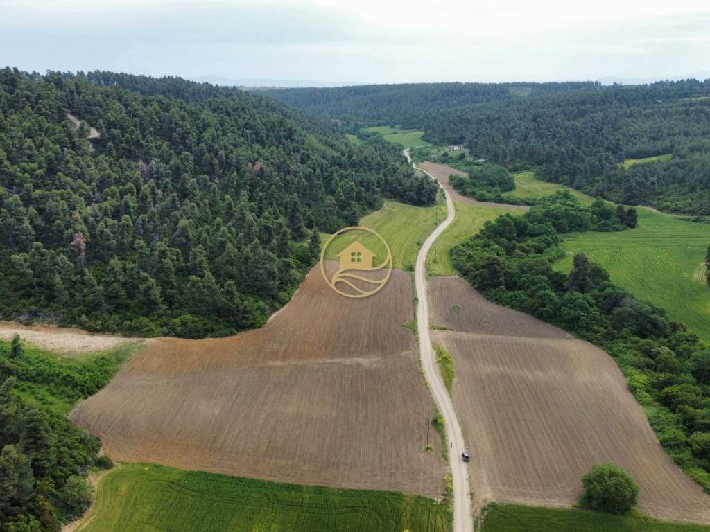 αεροφωτογραφία αγροτεμαχίων