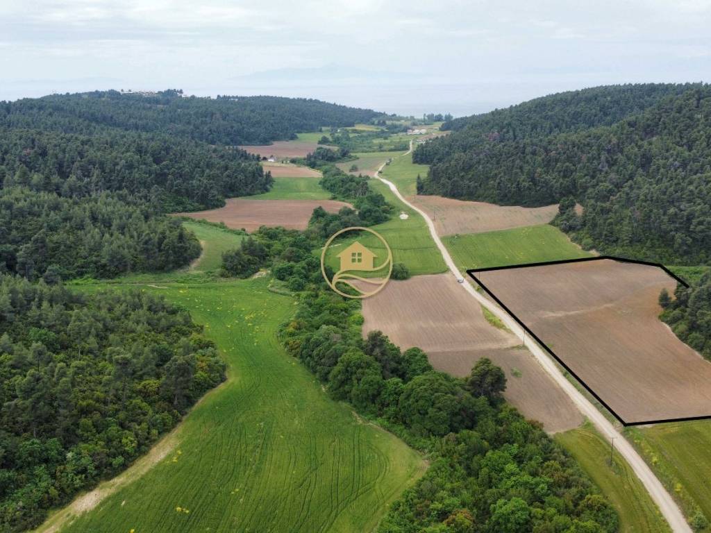 αεροφωτογραφία αγροτεμαχίων