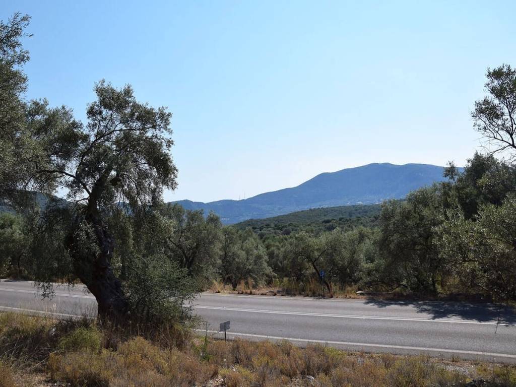 Τα δύο οικοδομήσιμα αγροτεμάχια