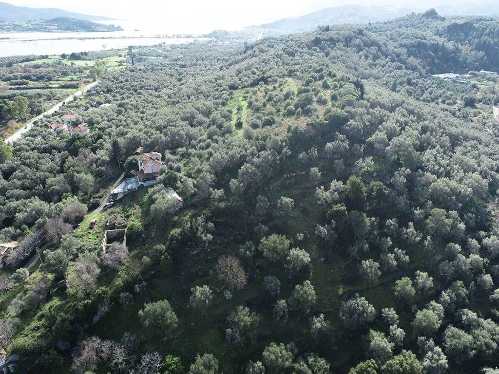 Το σπάνιο αγροτεμάχιο με την καταπληκτική θέα