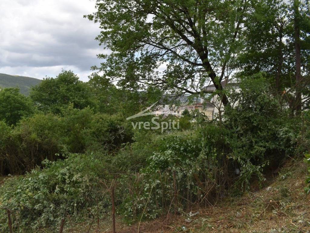 ΑΠΟΨΗ ΟΙΚΟΠΕΔΟΥ