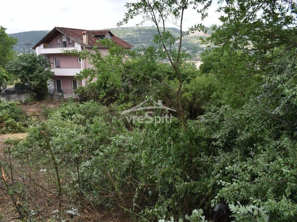 ΑΠΟΨΗ ΟΙΚΟΠΕΔΟΥ