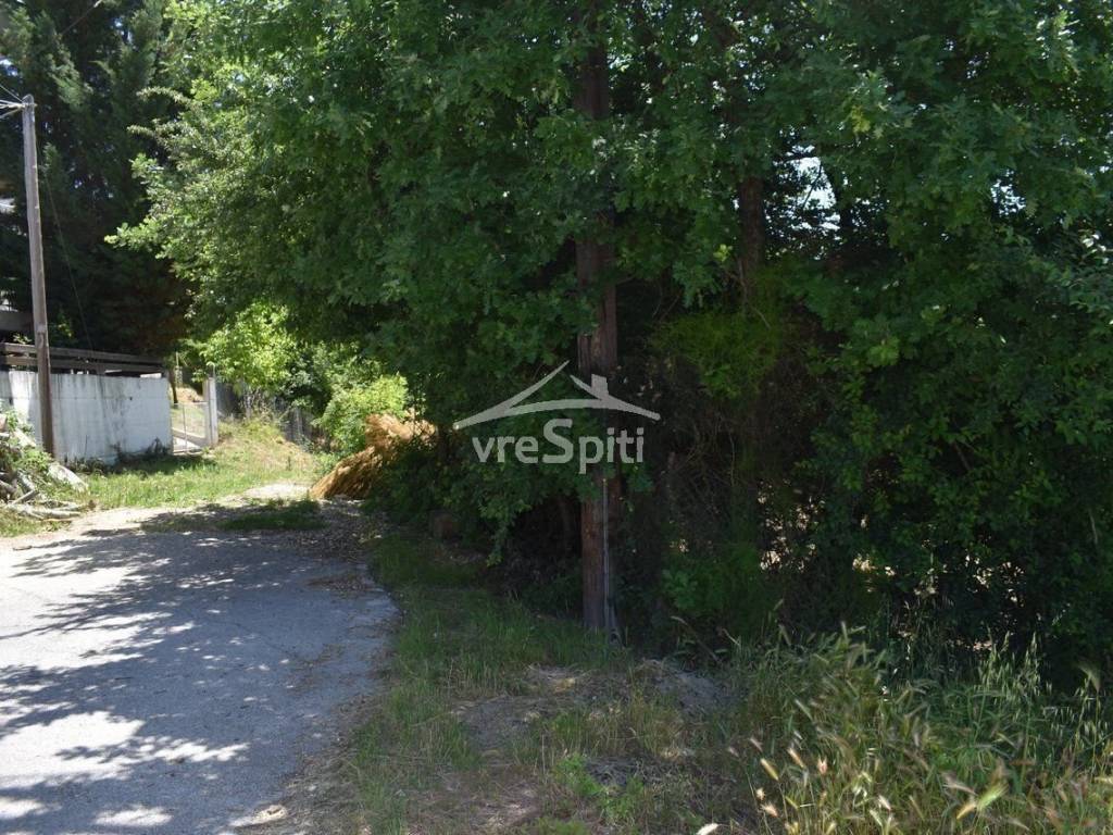 ΑΠΟΨΗ ΟΙΚΟΠΕΔΟΥ