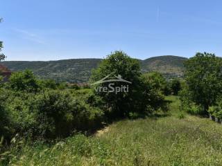 ΑΠΟΨΗ ΟΙΚΟΠΕΔΟΥ