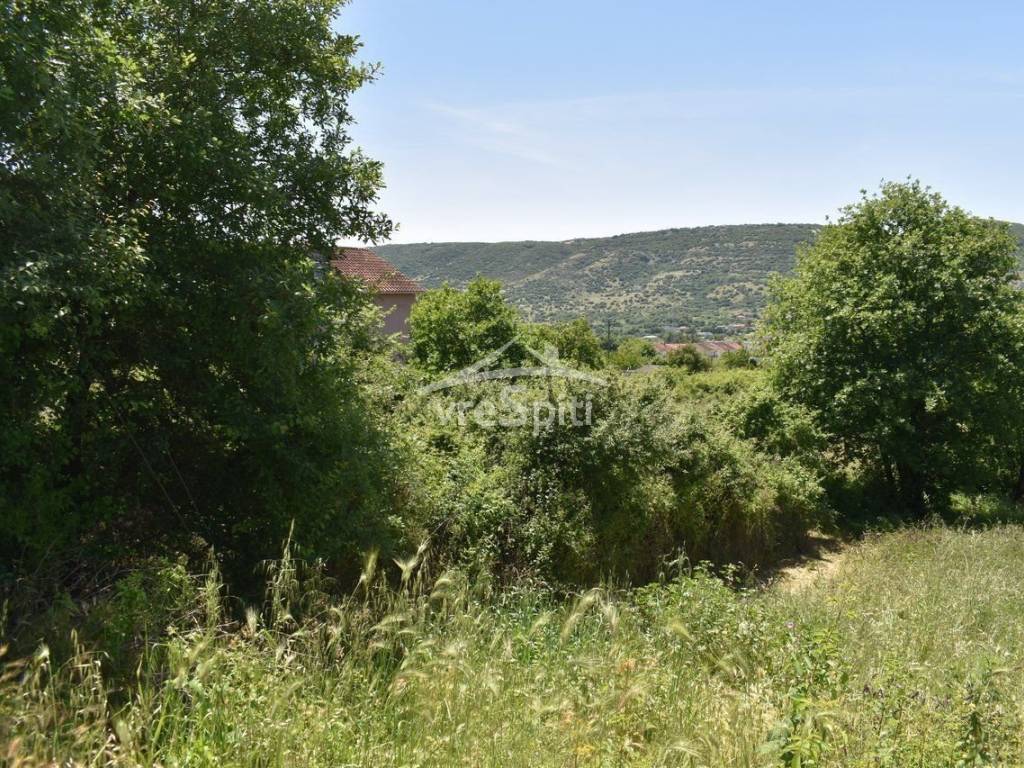 ΑΠΟΨΗ ΟΙΚΟΠΕΔΟΥ