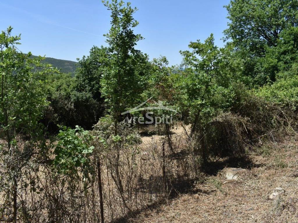 ΑΠΟΨΗ ΟΙΚΟΠΕΔΟΥ