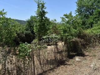 ΑΠΟΨΗ ΟΙΚΟΠΕΔΟΥ