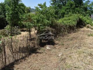 ΑΠΟΨΗ ΟΙΚΟΠΕΔΟΥ