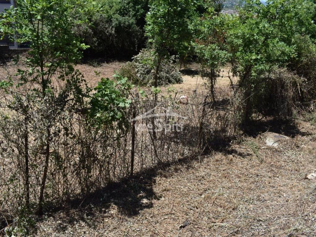 ΑΠΟΨΗ ΟΙΚΟΠΕΔΟΥ