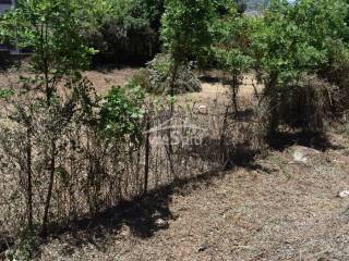 ΑΠΟΨΗ ΟΙΚΟΠΕΔΟΥ