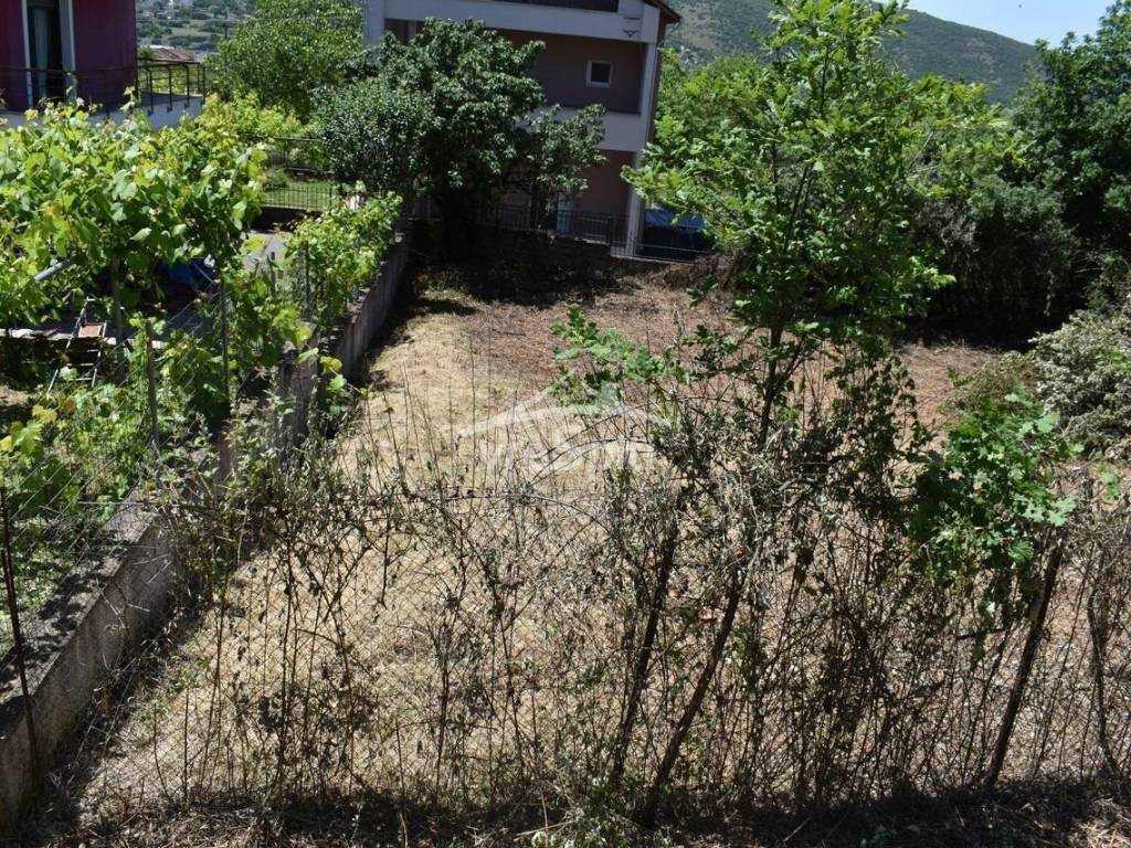 ΑΠΟΨΗ ΟΙΚΟΠΕΔΟΥ