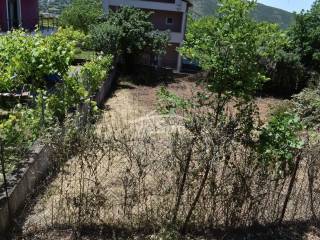 ΑΠΟΨΗ ΟΙΚΟΠΕΔΟΥ