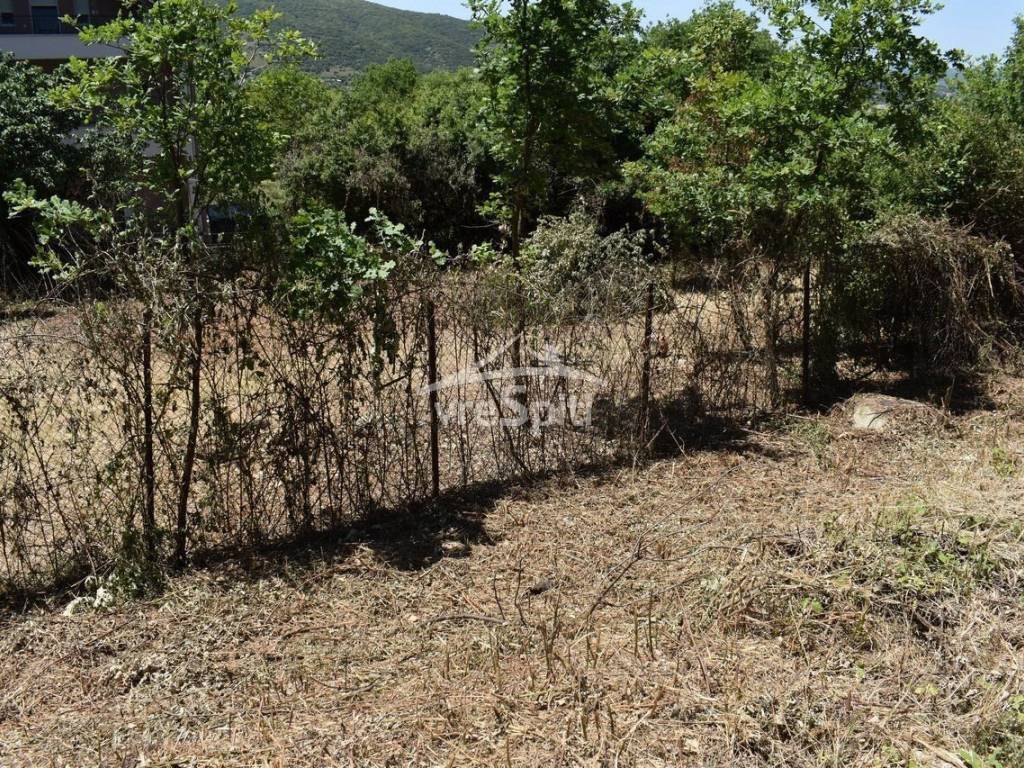 ΑΠΟΨΗ ΟΙΚΟΠΕΔΟΥ