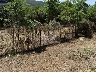 ΑΠΟΨΗ ΟΙΚΟΠΕΔΟΥ