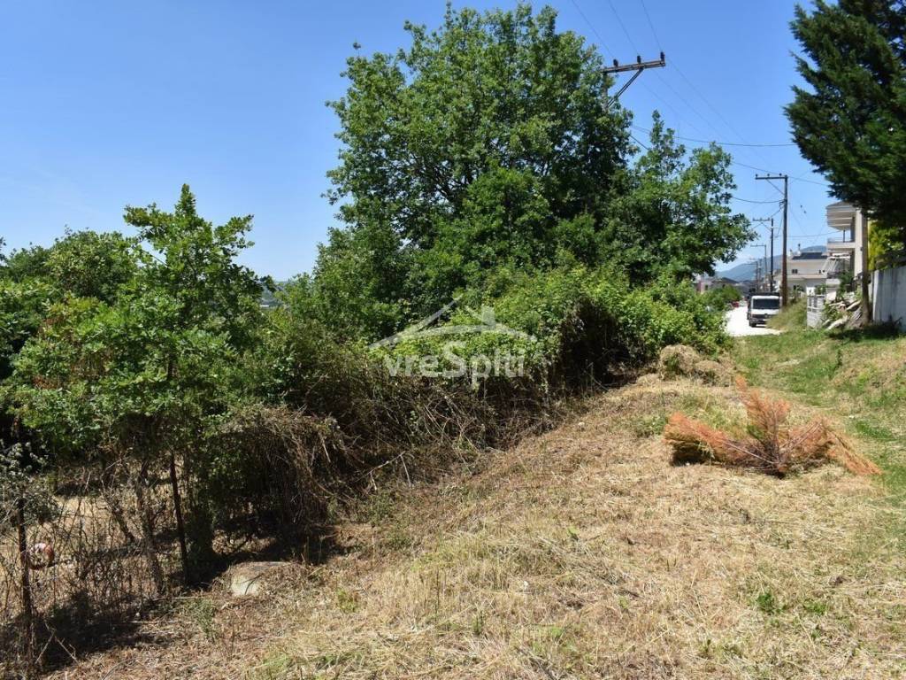 ΑΠΟΨΗ ΟΙΚΟΠΕΔΟΥ