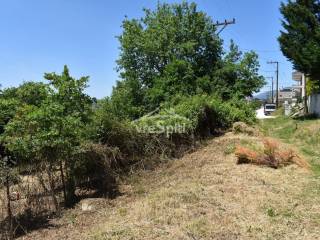 ΑΠΟΨΗ ΟΙΚΟΠΕΔΟΥ