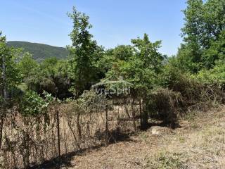 ΑΠΟΨΗ ΟΙΚΟΠΕΔΟΥ