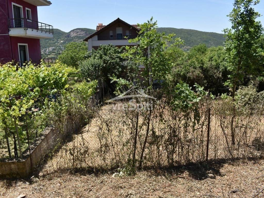 ΑΠΟΨΗ ΟΙΚΟΠΕΔΟΥ