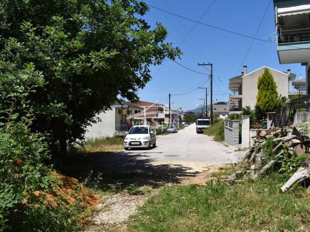 ΑΠΟΨΗ ΟΙΚΟΠΕΔΟΥ