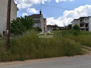 ΑΠΟΨΗ ΟΙΚΟΠΕΔΟΥ