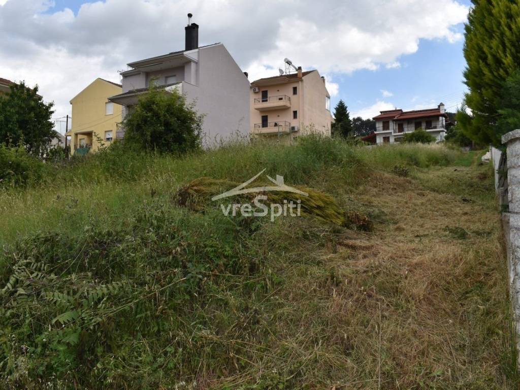 ΑΠΟΨΗ ΟΙΚΟΠΕΔΟΥ