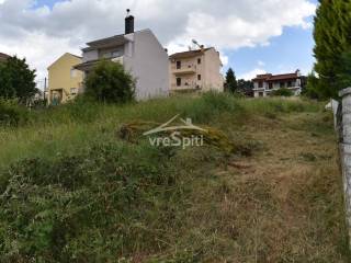 ΑΠΟΨΗ ΟΙΚΟΠΕΔΟΥ