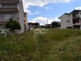 ΑΠΟΨΗ ΟΙΚΟΠΕΔΟΥ