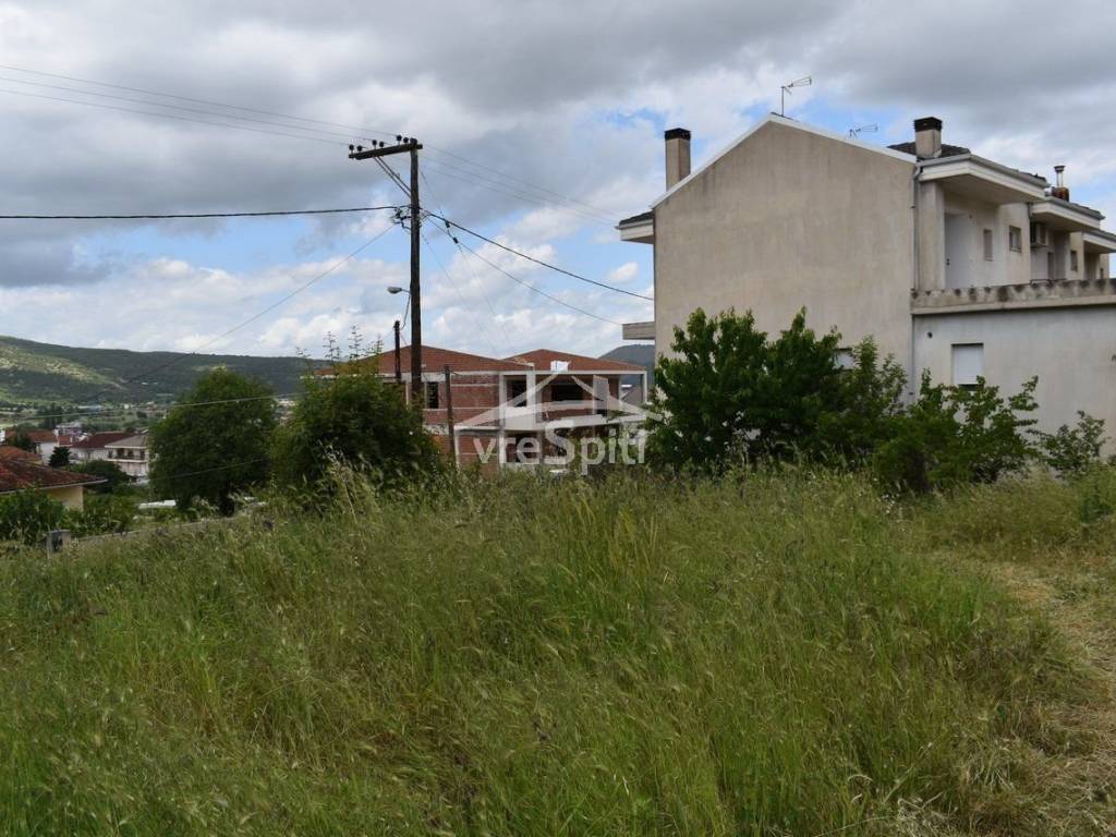 ΑΠΟΨΗ ΟΙΚΟΠΕΔΟΥ