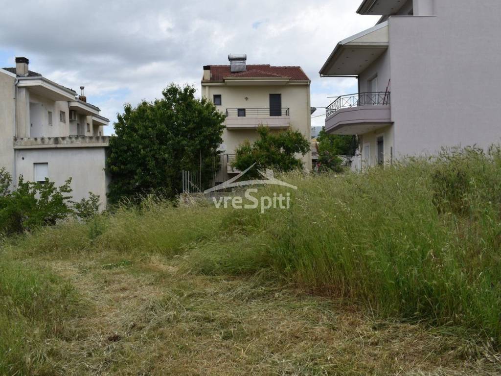 ΑΠΟΨΗ ΟΙΚΟΠΕΔΟΥ